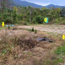 덕산면041 이미지