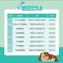 24시아마존동물병원 네이버블로그