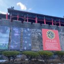 온달비디오 이미지