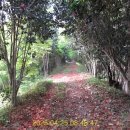 예양공원 이미지