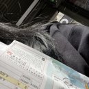 권기은 | 앉으나 서나 당신생각