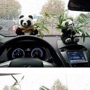(주)와우여행사 이미지