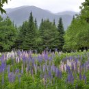 NEW PC CLUB 이미지