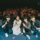 몽땅Dream