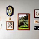 춘천여우그늘 이미지