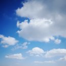 푸른하늘 이미지