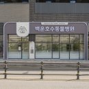 호수동물병원 - 시흥시 목감남서로 9-19 | 호수동물병원