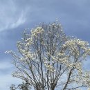 베짱이정원 이미지