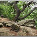 조견사우 이미지