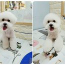 오송프렌즈샵