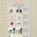 퓨어무드스튜디오 이미지