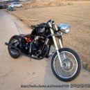 데이스타 이미지