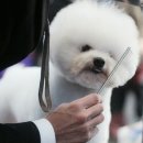 불칸 이미지