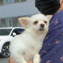 토용길 이미지