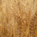 오색농장 이미지