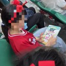 복합극 “울 줄 모르는 고양이” | 고양이해결사깜냥 시리즈 신작 야구장의 영웅을 찾아라 초등 저학년 책 추천