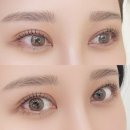 4865 | 대전 봉명동속눈썹펌 미플렉스 개인별 눈매맞춤형 속눈썹펌