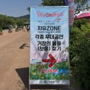 삼돌이인삼 | 2026 거창에 ON 봄 축제 [거창의 봄을(보물) 찾기] 참여 후기 - 이은미 기자