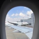 5033 | 우시 in, 상하이 out 중국동방항공 MU2990, MU5033 이코노미 탑승 후기