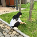 씨유 남원동충현대점 | Fall🍂 in love