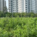 서해미장원