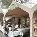 지수체육공원 | 김제 꽃빛드리 축제 후기｜아이랑 가기 좋은 전북 봄꽃 축제 (포토존·먹거리 총정리)