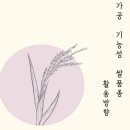 아시아문화박물관 이미지