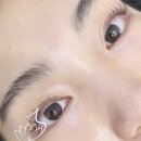 탐나는속눈썹 이미지
