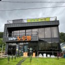 [대전 파충류 카페]노루벌매점 l 아이와 함께 실내 체험,이색데이트 추천