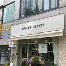 소예르플라워 이미지