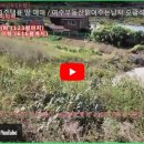 금호오션공인중개사사무소 이미지