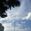 육회관 본점 이미지