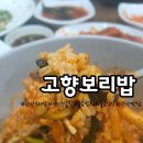 영양보리밥 | 양산맛집 양산밥집 양산보리밥 "고향보리밥" 고소한 영양가득 보리밥 후기