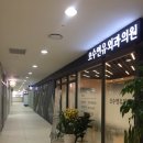 오수연유외과의원 네이버블로그