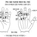 고려수지침 이미지