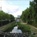 화성중학교 이미지