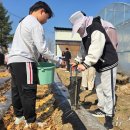 감물초등학교 병설유치원 이미지