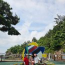 강진개인택시 | 목포 개인택시 장거리 &관광