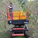 권씨농장 이미지