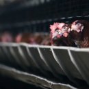 수산2농장 이미지