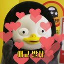 지성이해물찜 이미지