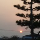 동처농장 이미지