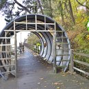 비토어촌계 이미지