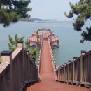 신동습지 이미지