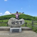 곰배령화원 이미지