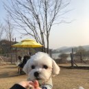 이루약손 이미지