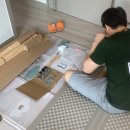 플레인베르