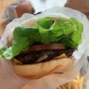 프랭크버거 양주고읍점 이미지