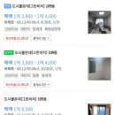 그린비치 이미지