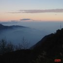 아리산 Daum카페